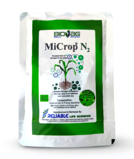 MICROP N2 100 GM